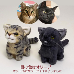 猫ぬいぐるみ「ちびにゃ」オーダーメイド【受注製作】 7枚目の画像