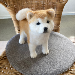 受注制作】羊毛フェルト人形 秋田犬 羊毛フェルト chikuchiku18