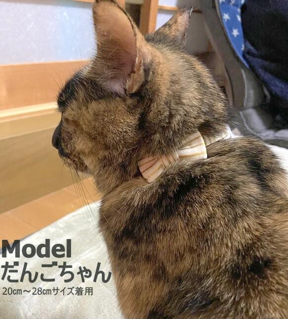 モダンな和柄の縞模様＊猫ちゃん首輪 9枚目の画像