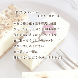 【期間限定】サクラハニーレアチーズケーキ（6個入）【春ギフト】【入学・卒業】【母の日】 3枚目の画像