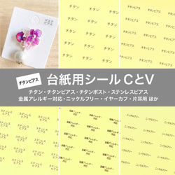 【台紙用シールCV】チタン  樹脂ポスト　金属アレルギー対応　ニッケルフリー　イヤーカフ　片耳用（透明×黒文字）200枚 1枚目の画像