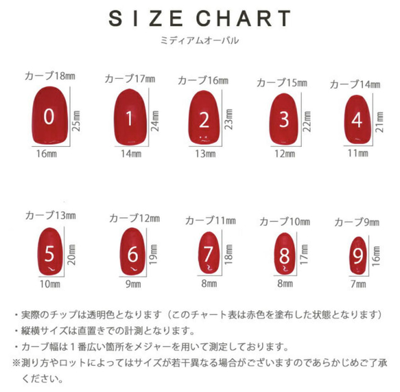  第11張的照片