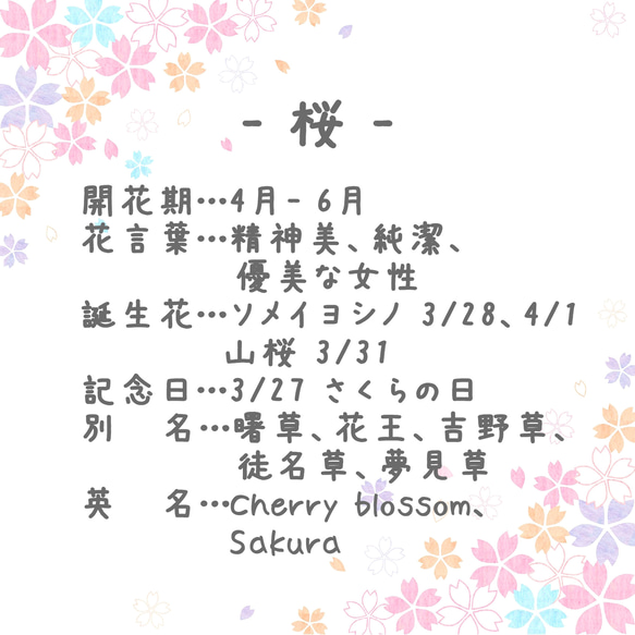 【マスクにも】桜のミニブローチ （ つまみ細工＊受注制作 ） 8枚目の画像