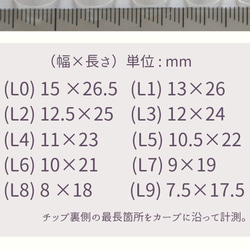 【ロング】試着用クリアチップ10枚セット（ハンド用）Annaffiareウェディング結婚式成人式振袖和装ブライダル前撮り 2枚目の画像