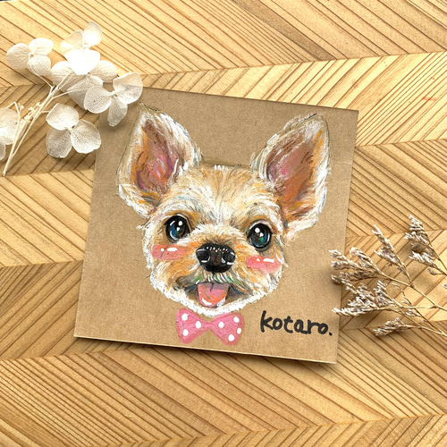 ほんわか幸せのペットの似顔絵☆犬猫似顔絵イラスト イラスト ほんわか幸せのペットの似顔絵☆犬猫似顔絵イラスト イラスト