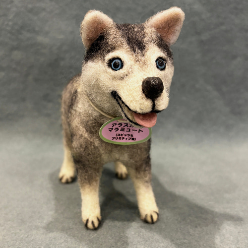 羊毛フェルト　アラスカンマラミュート　犬 スピッツ＆プリミティブ] アラスカン・マラミュート 羊毛