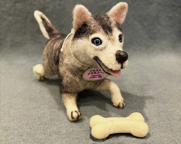 羊毛フェルト　アラスカンマラミュート　犬 handmade 羊毛フェルト ☆ アラスカンマラミュート 犬 オーダー