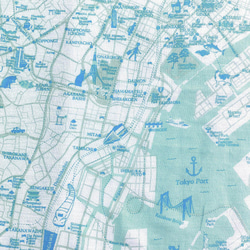 大好きな街を身に着ける。　マップスカーフ　東京お散歩猫マップ 6枚目の画像