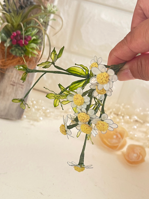 カモミール×シュガーパイン癒しのお花とグリーンのセット 6枚目の画像