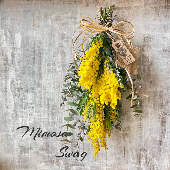 ミモザとユーカリ(2026年2月末-3月発送予定) 2026年！春先取り ふわふわミモザとユーカリのスワッグ スワッグ 絵