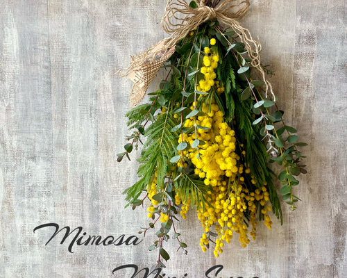 2026年！春先取り ふわふわミモザとユーカリのミニスワッグ スワッグ