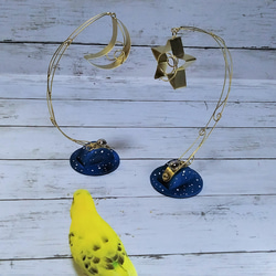 ★再販です★月と星のブラブラⅣ～月と星のセット販売となります。 2枚目の画像