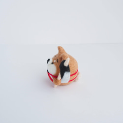 【受注製作】-端午の節句-まゆ柴犬金太郎(赤柴・黒柴・白柴)五月人形お飾りセット　羊毛フェルト 3枚目の画像
