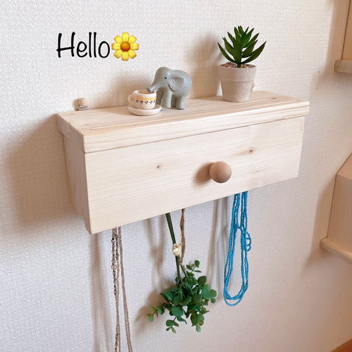 扉付きウォールラック《優しい木工雑貨》 壁掛けラック・ウォール