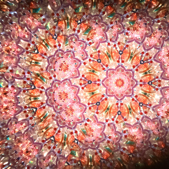玻璃莢萬花筒“花莢”乾花蠟菊/紅色 第1張的照片