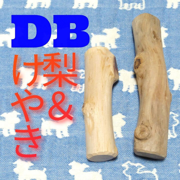 楽天市場】梨の木のお店 梨の木のかじり木 Sサイズ 2本 国産