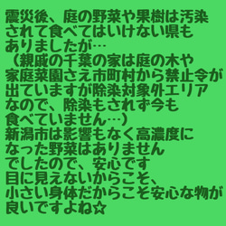 654.犬のおもちゃ犬用、かじり木、あまがみ対策、梨の木、中型犬向き 5枚目の画像