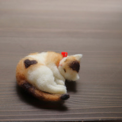 送料400円★小箱ねこ　ぷりん♥Φ10cm 4枚目の画像