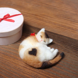 送料400円★小箱ねこ　ぷりん♥Φ10cm 8枚目の画像