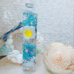 【専用出品】プルメリア様 観葉植物】プルメリア8号(025-1476) | 鹿児島県指宿市