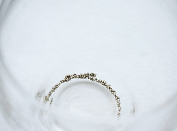 brass-glass 4枚目の画像