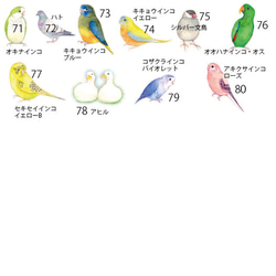 18ｃｍプレート（80羽の中からお好きな鳥・インコを選べます） 12枚目の画像