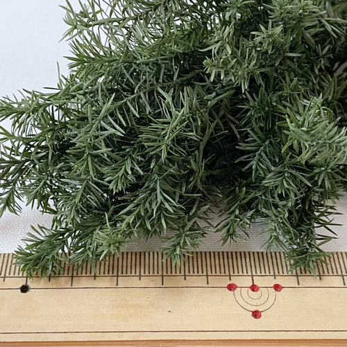 送料無料 ヒムロスギ ＊パウダーグリーン 大地農園 送料無料＆4点毎に1