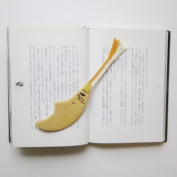 栞　Fly me to the moon 1枚目の画像