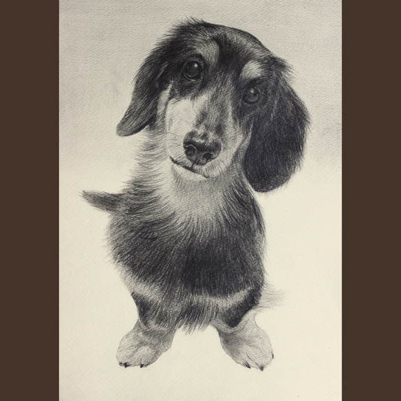 【A4/鉛筆画】ペットのリアルな似顔絵【どんな動物でも!】 8枚目の画像