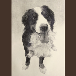 【A4/鉛筆画】ペットのリアルな似顔絵【どんな動物でも!】 6枚目の画像