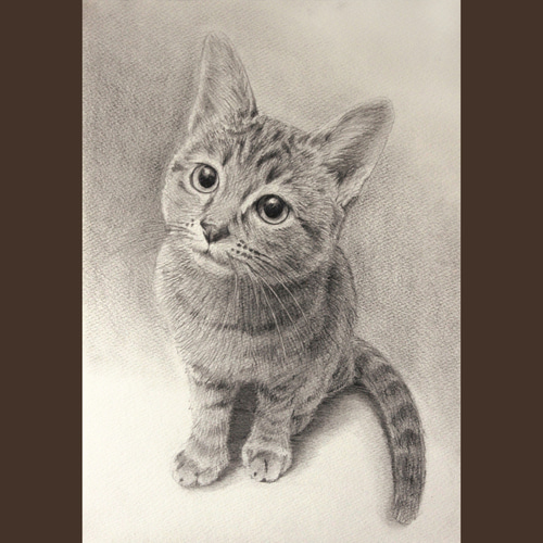 A4/鉛筆画】ペットのリアルな似顔絵【どんな動物でも!】 絵画 arika