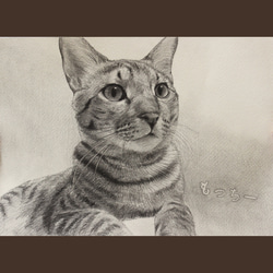 【A4/鉛筆画】ペットのリアルな似顔絵【どんな動物でも!】 7枚目の画像