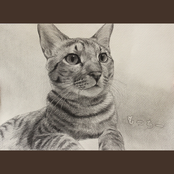 【A4/鉛筆画】ペットのリアルな似顔絵【どんな動物でも!】 7枚目の画像