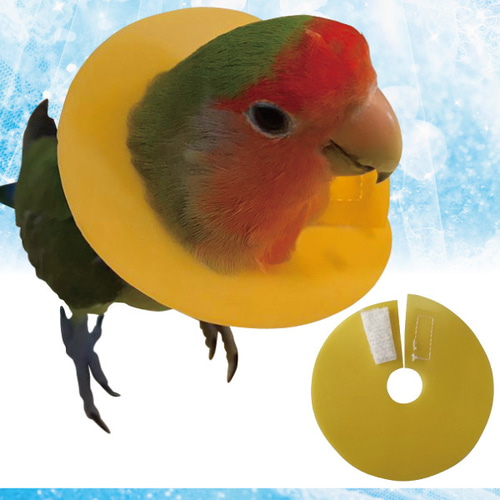 *＊ ハンドメイド　小鳥用　エリザベスカラー ＊* しっかりタイプ 小鳥用 エリザベスカラー 3枚組 □オカメインコ用 術後 介護用品