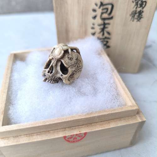 在銘 髑髏作家服部【泡末夢幻】鹿角製 髑髏彫刻 共箱 野晒 髑髏に蛙