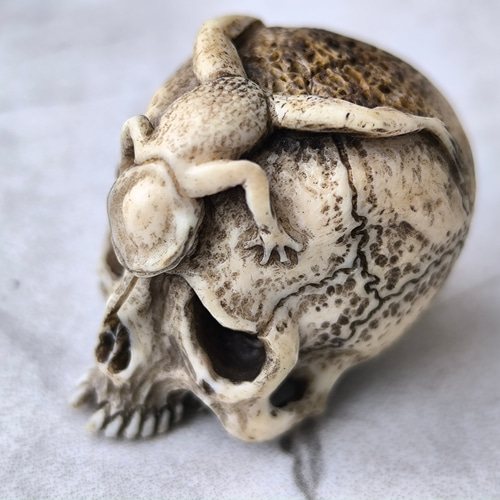 在銘 髑髏作家服部【泡末夢幻】鹿角製 髑髏彫刻 共箱 野晒 髑髏に蛙