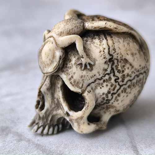 在銘 髑髏作家服部【泡末夢幻】鹿角製 髑髏彫刻 共箱 野晒 髑髏に蛙