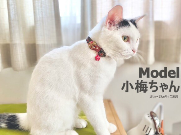 菊文様の猫ちゃん首輪 9枚目の画像