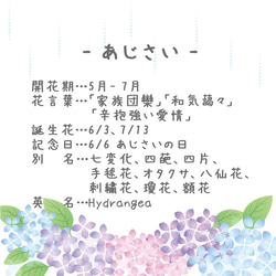 Hydrangea Harmony 胡桃木髮帶（Tsumami Craft *定制） 第6張的照片