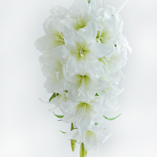 豪華カサブランカのキャスケードブーケ 【ブートニア付き】アーティ