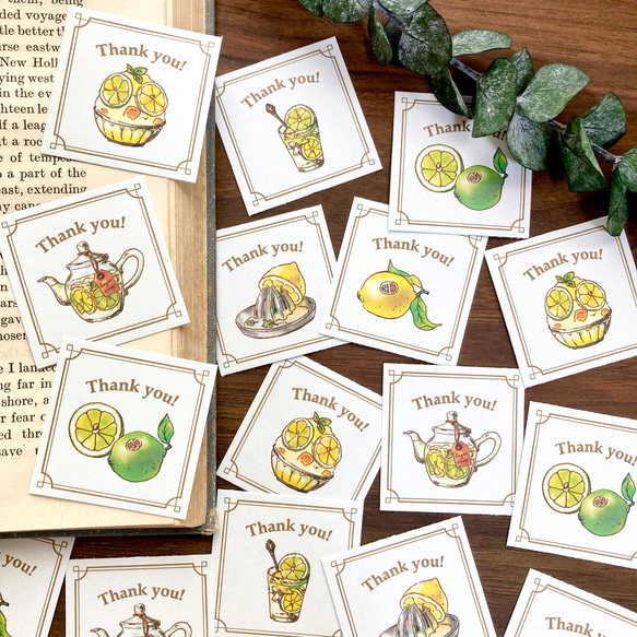 謝謝海豹“Lemon&amp;Lime”【35 pieces】Lemon Lime Seal Summer 第1張的照片