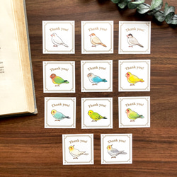 謝謝印章“鳥”【每包35片】鳥鸚鵡印章爪哇麻雀 第3張的照片