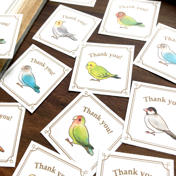 Thank you seal "Bird"【35枚入り】鳥 インコシール 文鳥 2枚目の画像