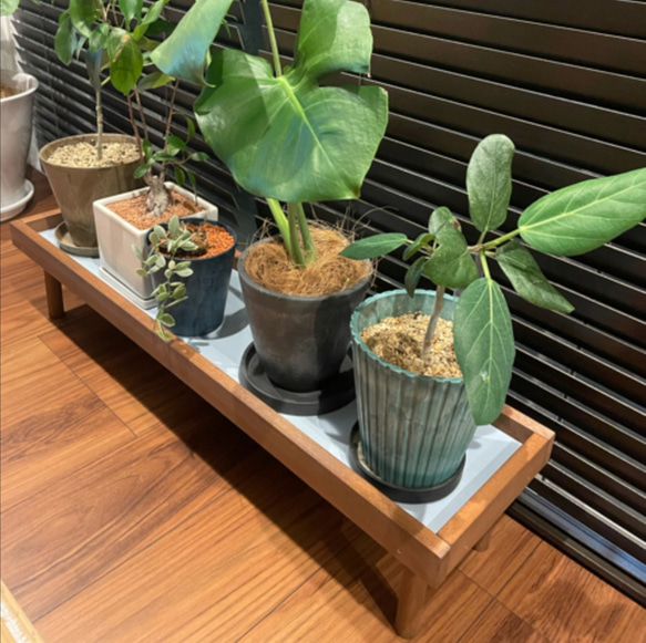 【人気No1✨】観葉植物ラック Green Stand 飾り台 (サイズオーダー可) ★ペットのフードスタンドとしても 6枚目の画像