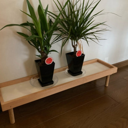 【人気No1✨】観葉植物ラック Green Stand 飾り台 (サイズオーダー可) ★ペットのフードスタンドとしても 13枚目の画像