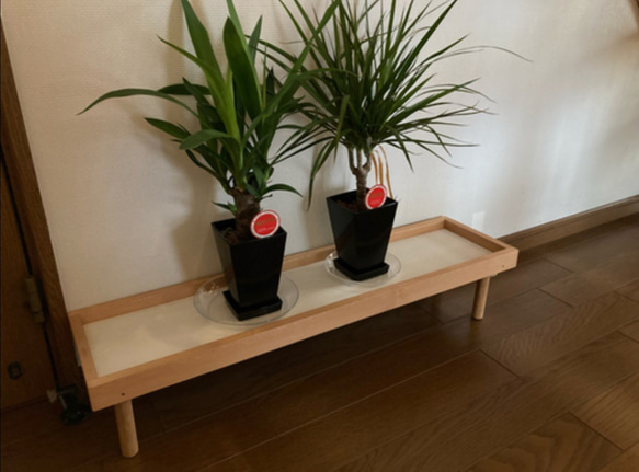 【人気No1✨】観葉植物ラック Green Stand 飾り台 (サイズオーダー可) ★ペットのフードスタンドとしても 13枚目の画像