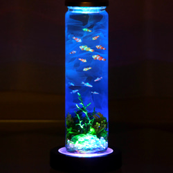 選べるハーバリウムアート　フラワーアクアリウム【台座ライト別売り】 9枚目の画像