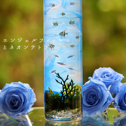 選べるハーバリウムアート　フラワーアクアリウム【台座ライト別売り】 7枚目の画像