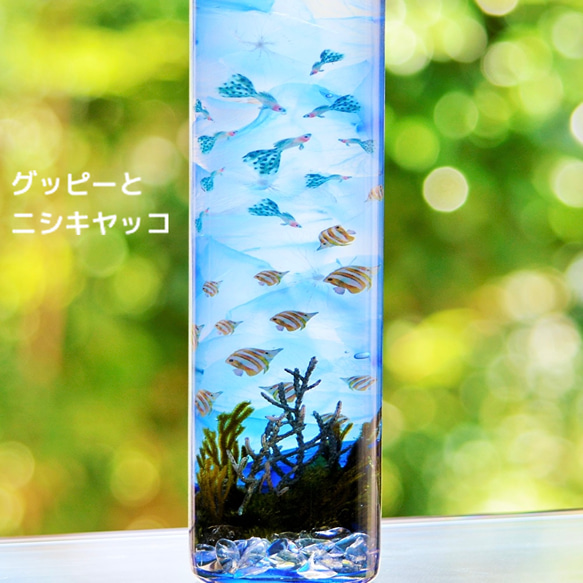 選べるハーバリウムアート　フラワーアクアリウム【台座ライト別売り】 8枚目の画像