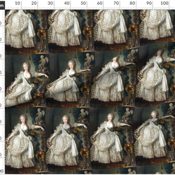 マリーアントワネット 貴婦人 クィーン 生地 輸入生地 ロココ調 ビクトリア 中世フレンチ宮廷 2枚目の画像
